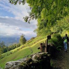 a picture of a path with 2 pilgrims on it Camino