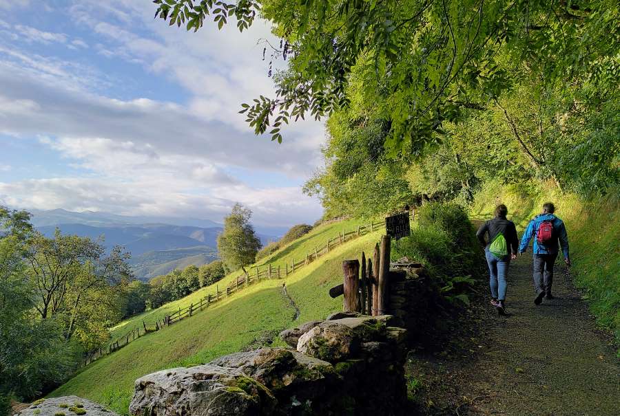 a picture of a path with 2 pilgrims on it Camino