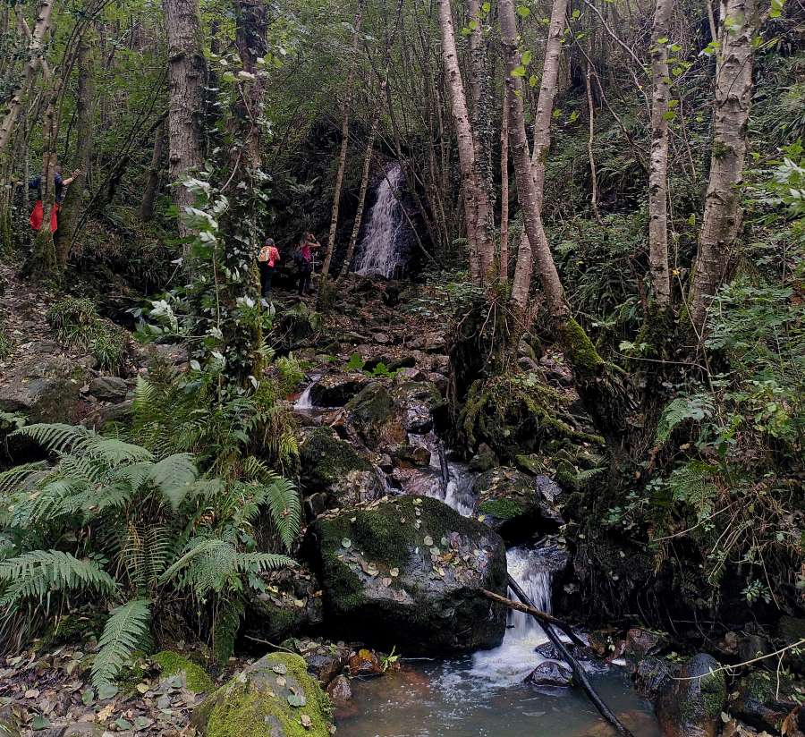 a picture of a waterfall in forest on the Camino