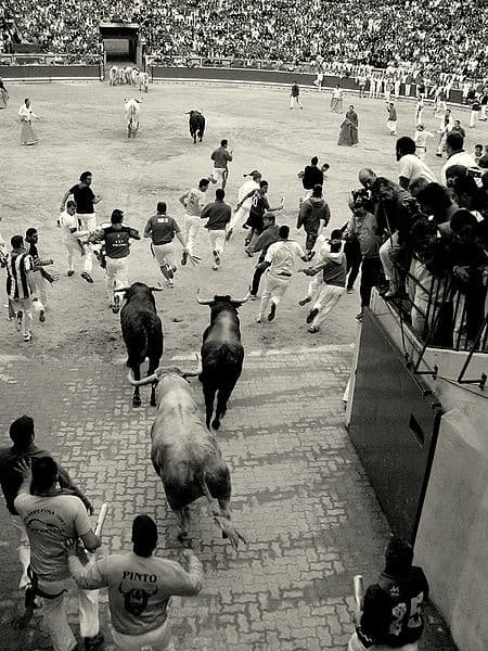 Sanfermines Vaquillas Pamplona on the Camino