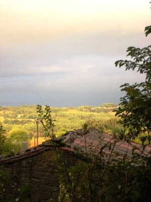 Autumn Walk on the Camino de Santiago