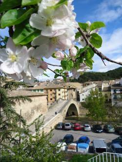 Camino Frances