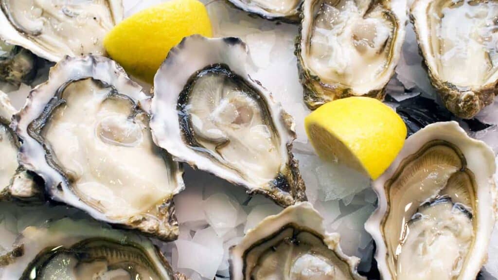 Oysters, part of the seafood that is a staple in Arcade on the Camino de Santiago