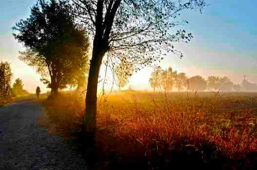 Camino landscape Spiritual Growth
