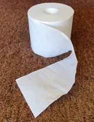 Toilet roll on the Camino