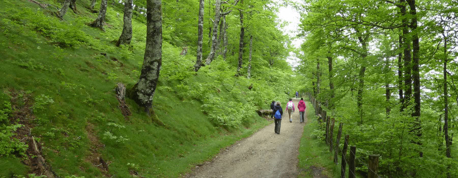 Walking banner
