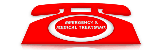 emergency and medical treatment