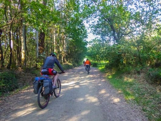 2 pilgrims cycling through the forest