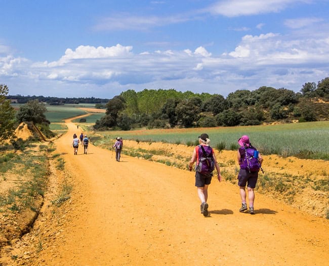 Pilgrim walking on the orange path leading into the landscape
