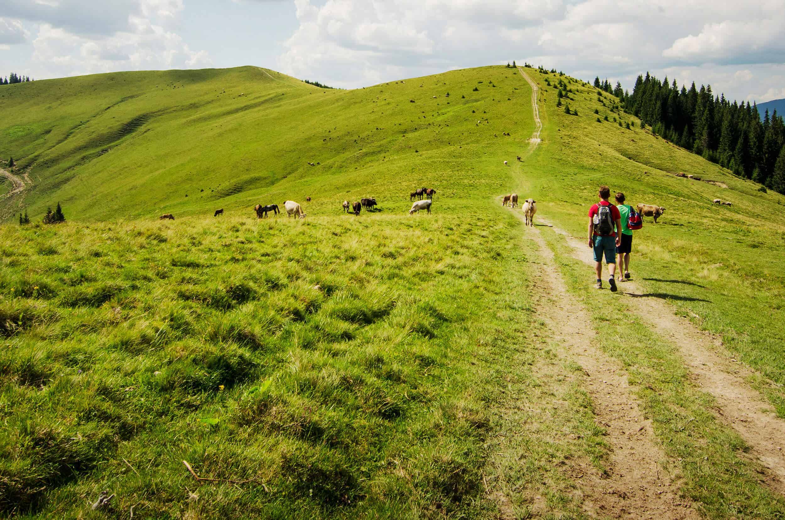 Camino Primitivo landscape pilgrims