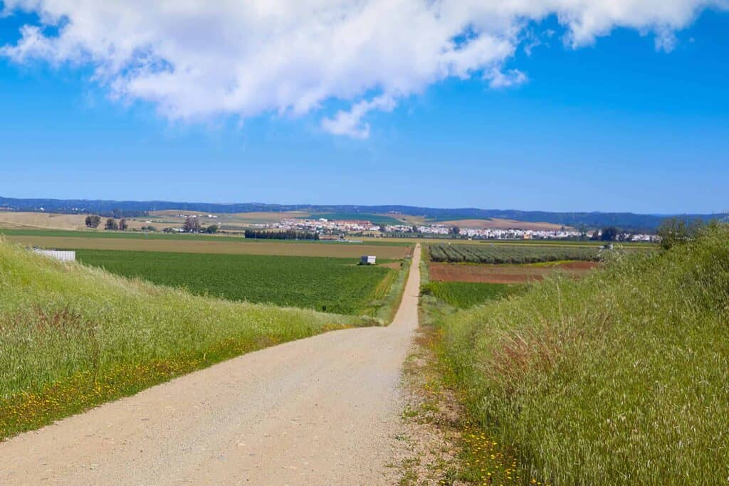 Via de la Plata landscape