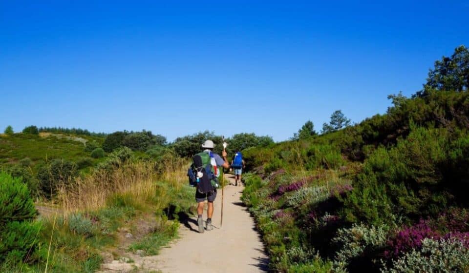 Camino Frances Sarria to Santiago de compostela banner image