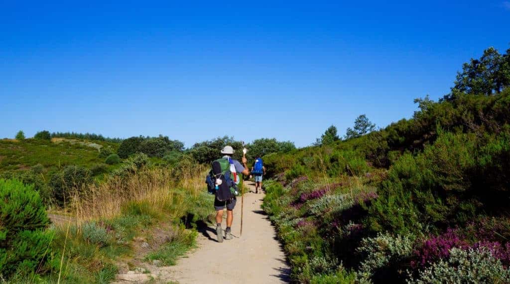 Camino Frances Sarria to Santiago de compostela banner image