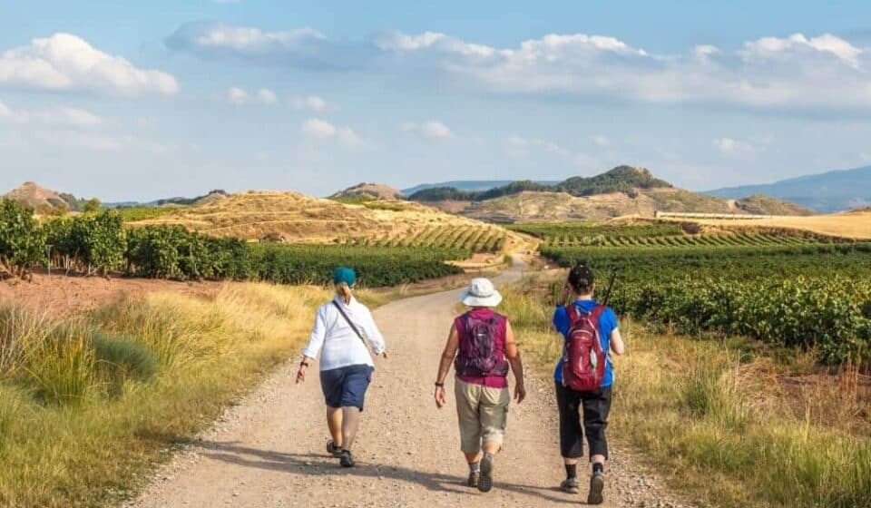 Group of pilgrims walking the Camino Portugues - beautiful landscape