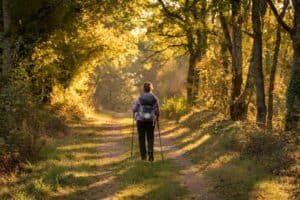 women walking in nature during autumn or winter
