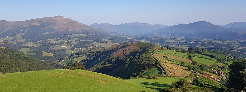 Camino Talks with Agnieszka Pamula Running the Camino Frances in 10 days