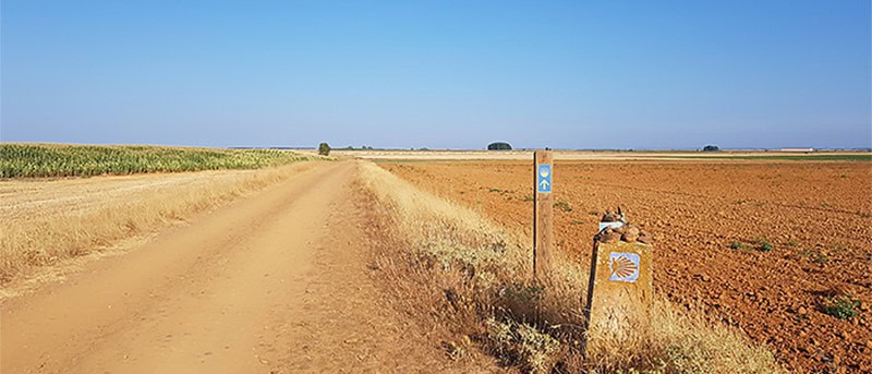 Camino Talks with Agnieszka Pamula Running the Camino Frances in 10 days