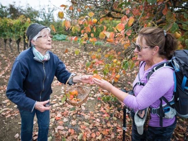 kindness on the camino
