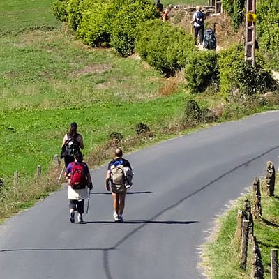 How Difficult is it to Walk the Camino? country road