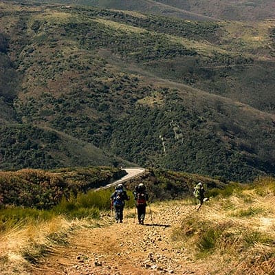 dirt track How Difficult is it to Walk the Camino?