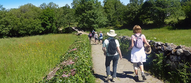 Best time to walk the Camino de Santiago Spring