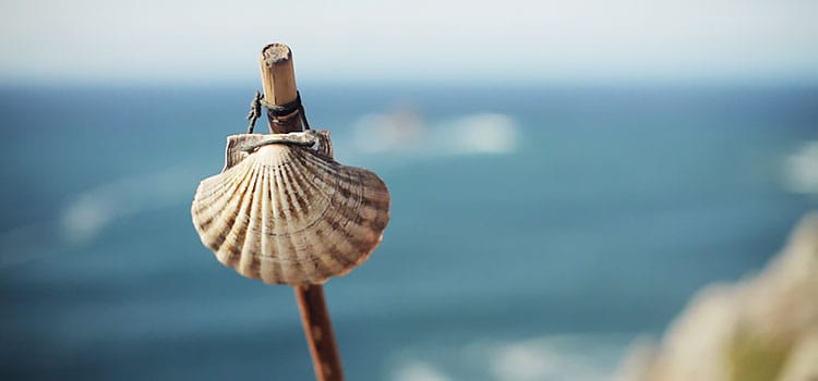 The Scallop Shell, one of the main Camino de Santiago symbols
