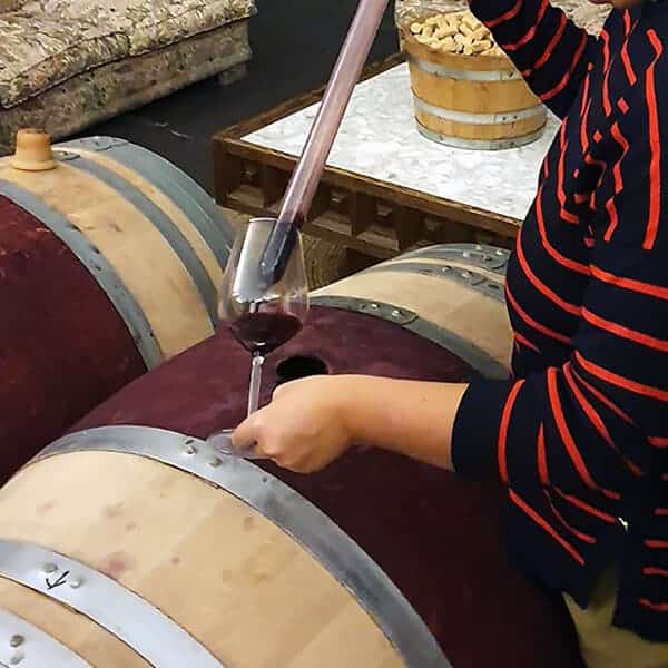 Vino on the Camino tasting