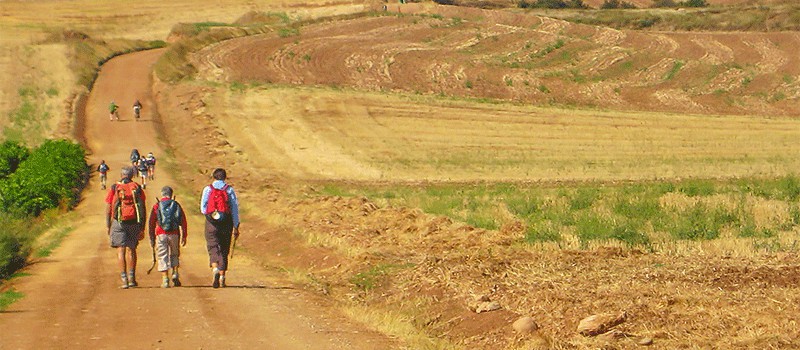 pilgrims on the camino frances