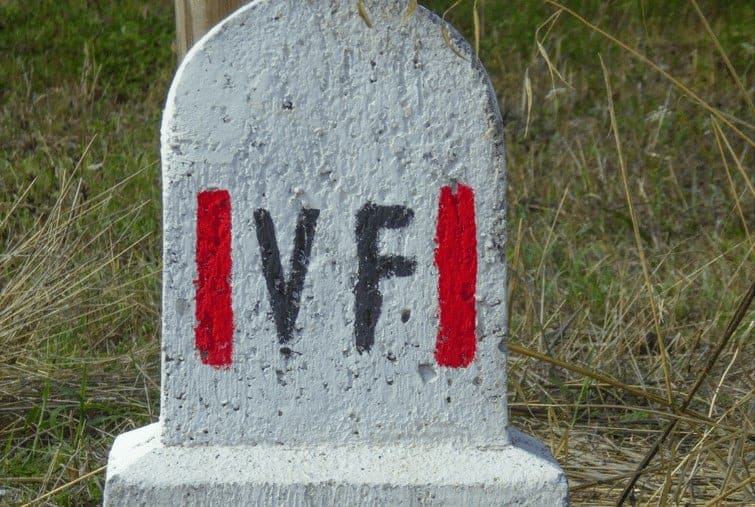 Via Francigena- The Camino's New Contender