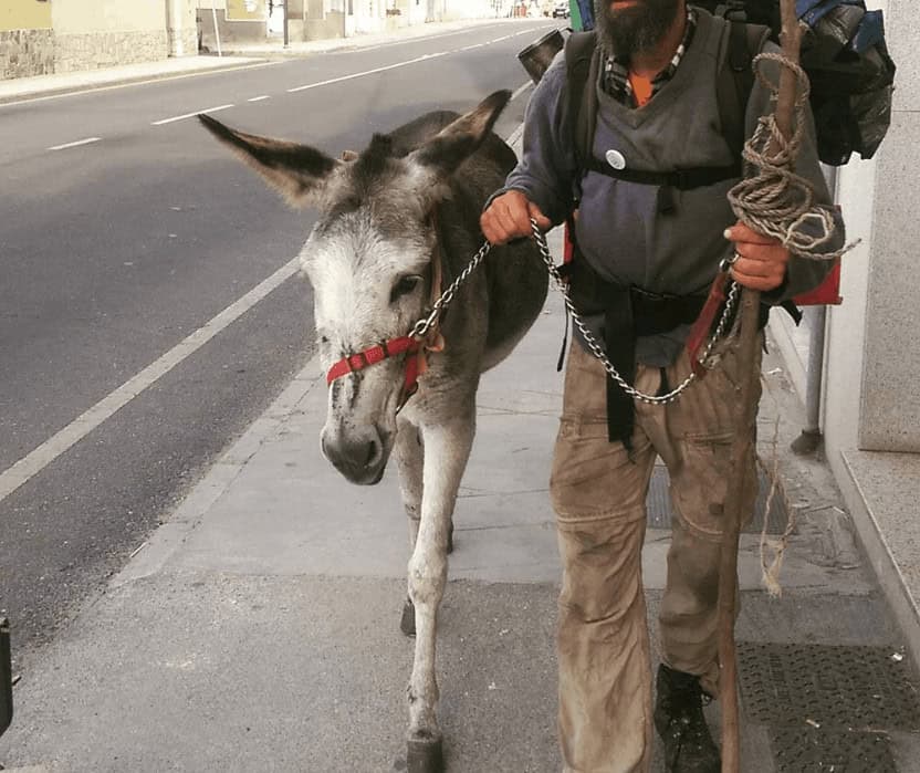 Kids on the Camino Animal Spotting
