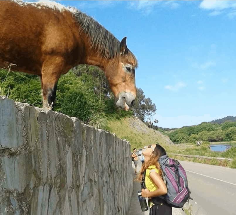 Kids on the Camino Animal Spotting
