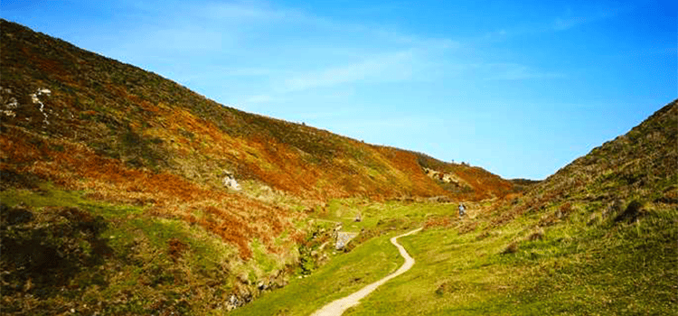 Celebrating Ireland - The Waterford Camino