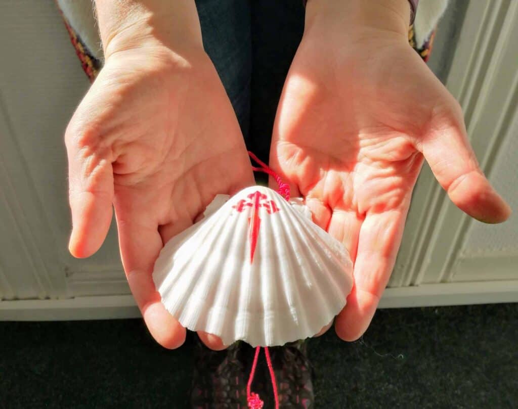 Scallop shell, one of the Camino de Santiago symbols