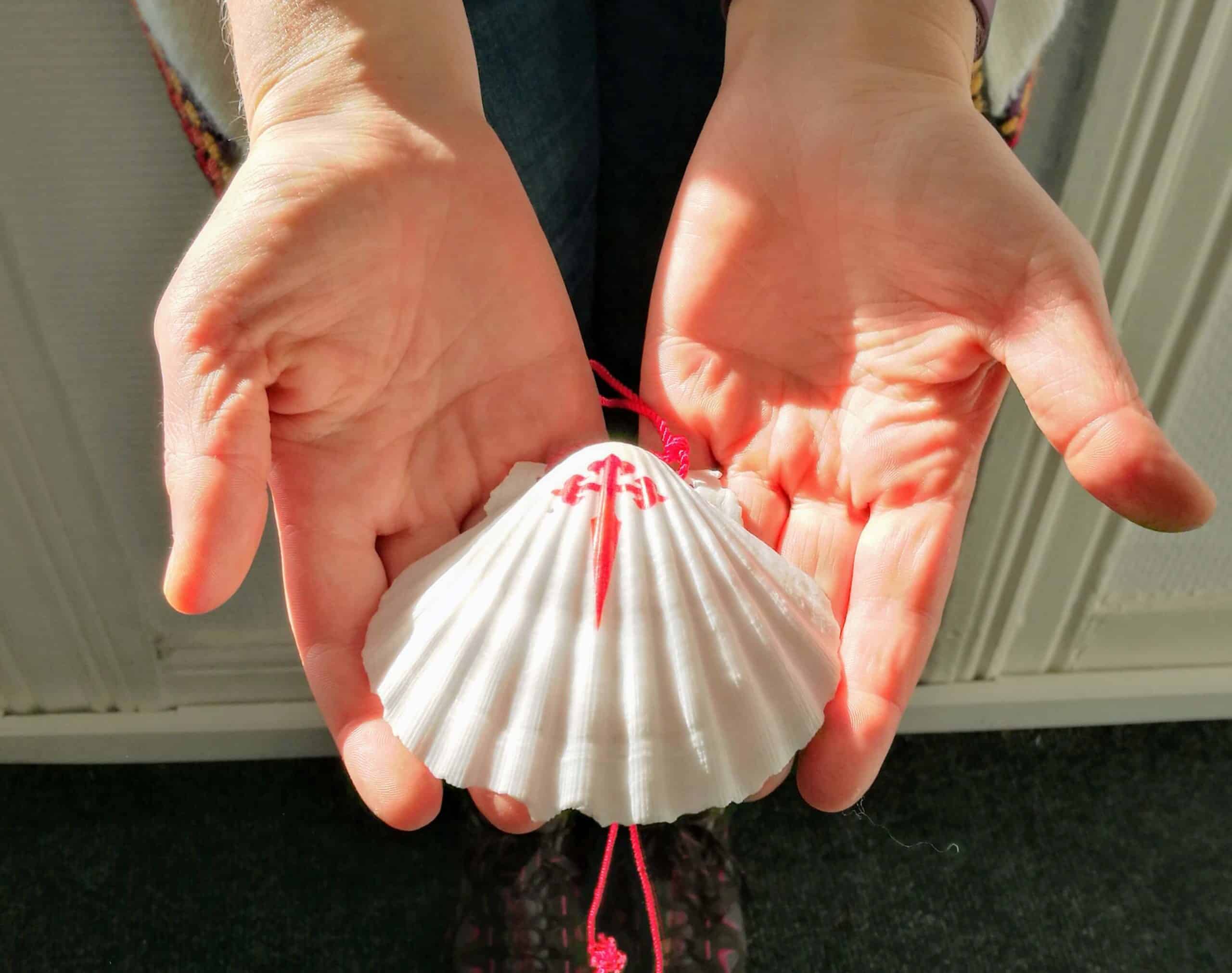 Scallop shell, one of the Camino de Santiago symbols