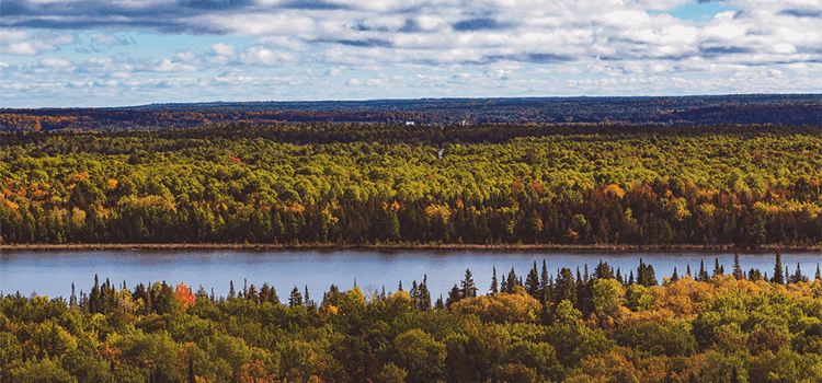Camino Training Walks - Canada