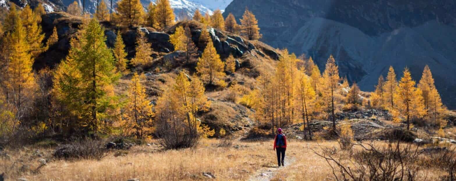 training for the camino de santiago walk in the USA
