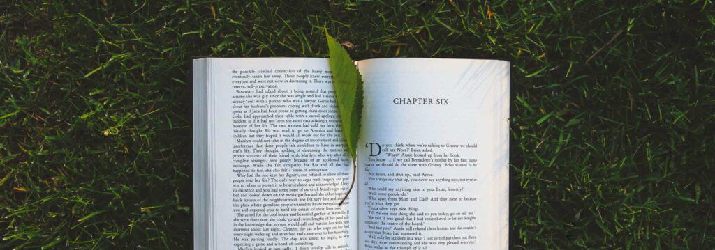 11 Camino Inspired Quarantine Activities book leaf