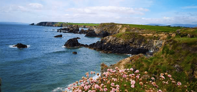 Celebrating Ireland - The Waterford Camino