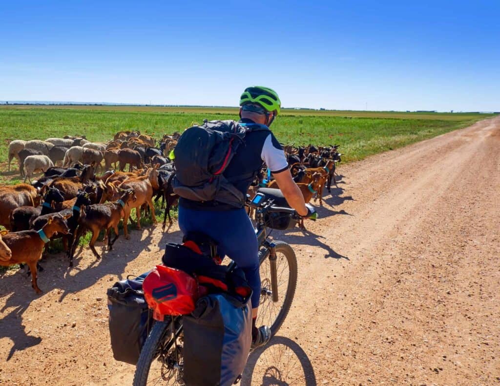 Cycling the Camino - The Basics
