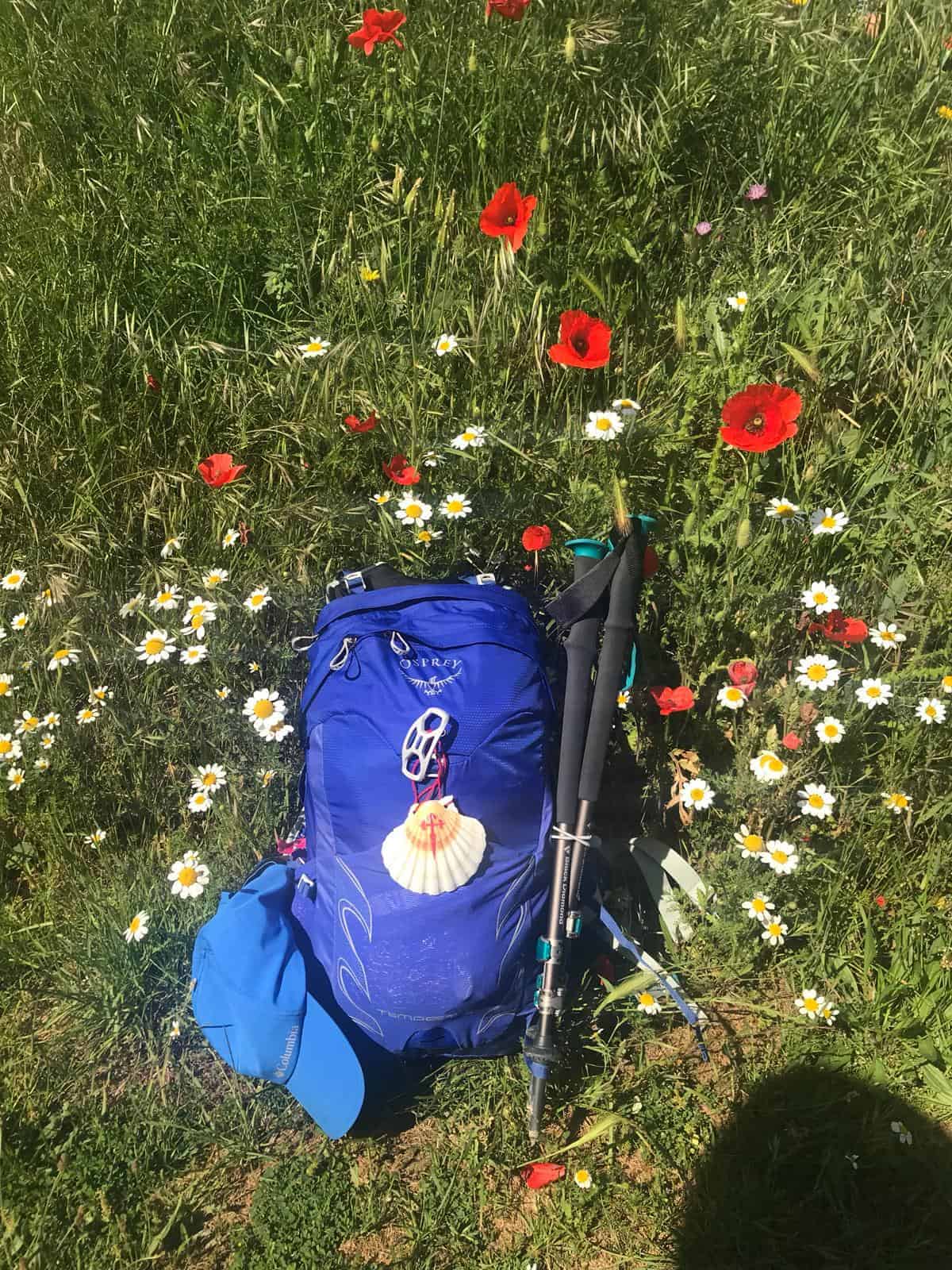 Choose the best backpack for your Camino