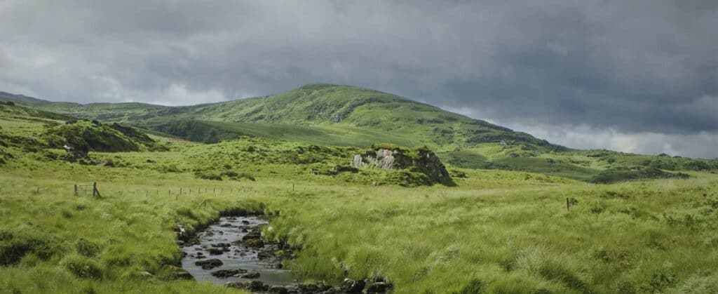 carbon offsetting in ireland