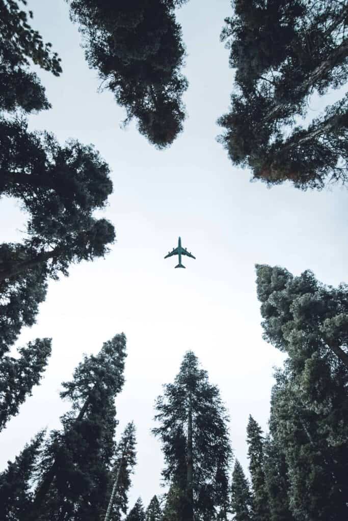 Holidays sustainable on the Camino airplane travels