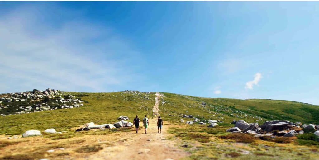 Camino de Santiago tours green landscape