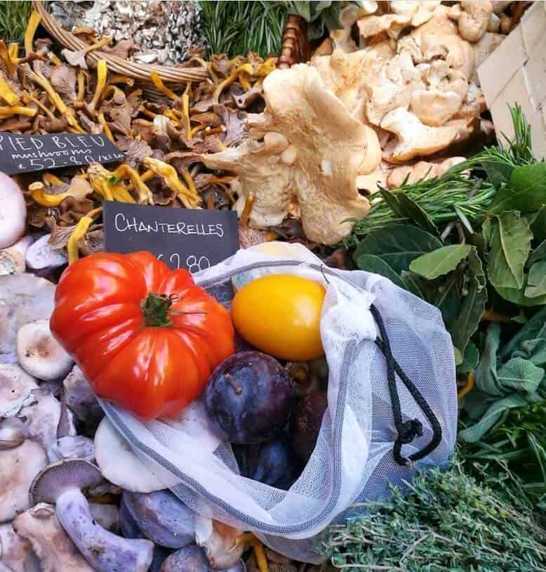Holidays sustainable on the Camino
