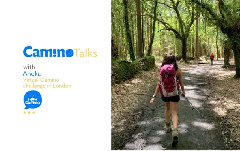 Aneka's London Virtual Camino talks