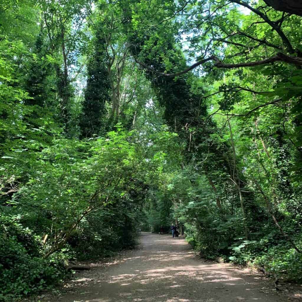 Aneka's paths through london