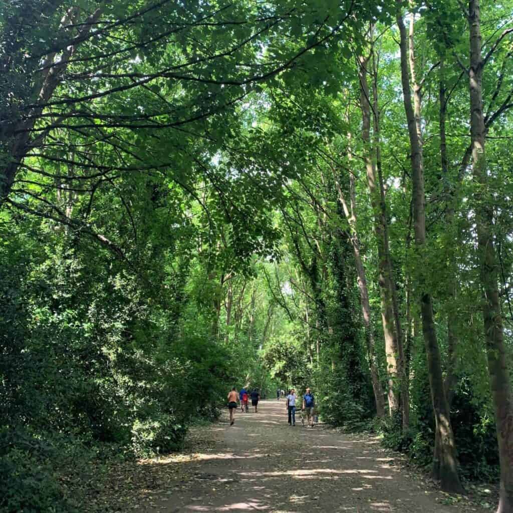 the virtual camino path through london