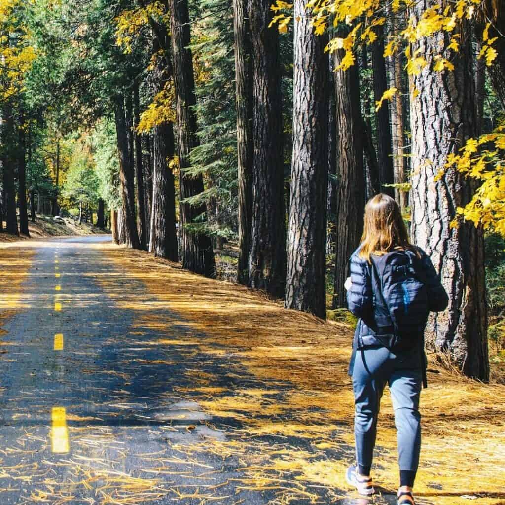 Strength and Stability Training for your Camino training walk