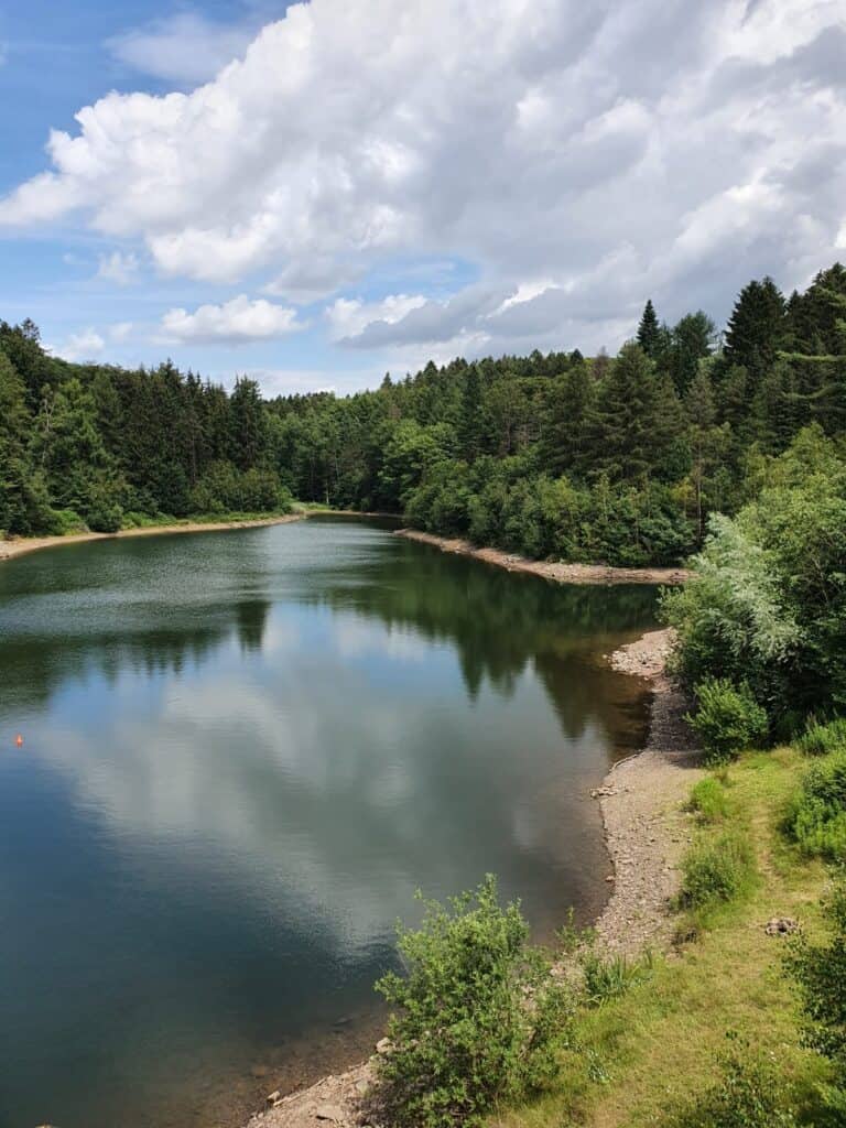 Travel the Camino during covid