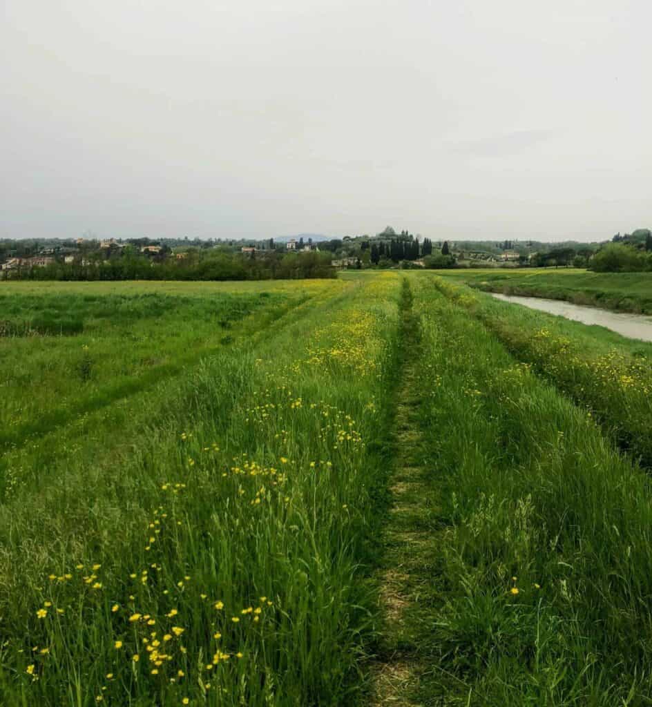 Top Tips for Walking the Via Francigena